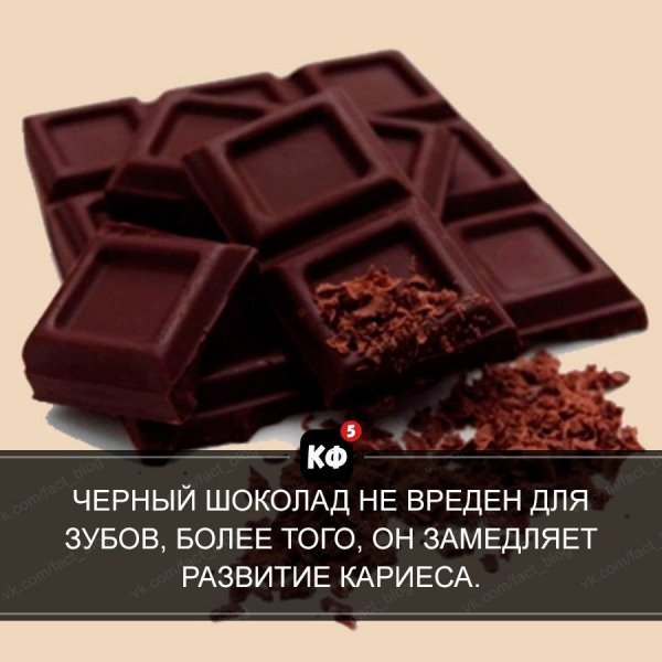 Краткие факты