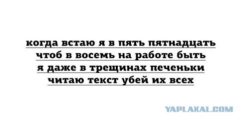 Снова соцсети..