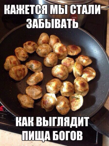 Аморальный юмор к выходным. Только для ценителей!