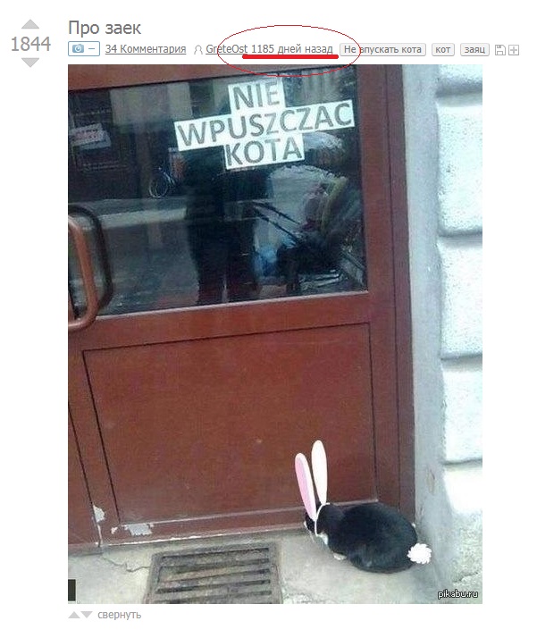 Приколы в стиле "регресс"