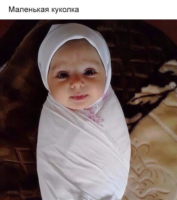 Прикольные картинки обо всём