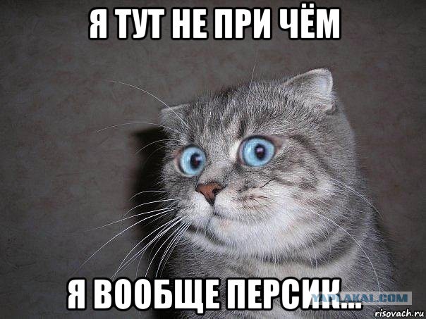Вот гад, а я ведь ему доверял...