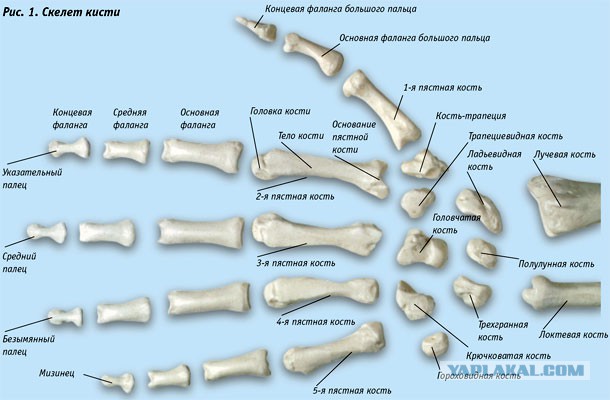 Лихие 90-е. Почему Путин не уволит Чубайса