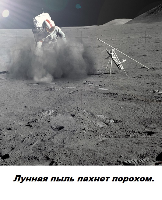 Подборка бесполезных фактов