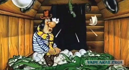 Можно ли вырастить перепелов из яциц, купленных в ашане?
