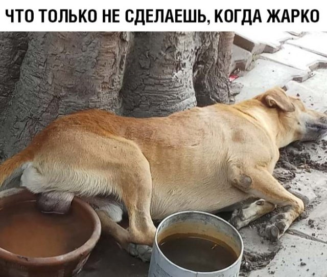 Поднакопилось чутка картинок и надписей