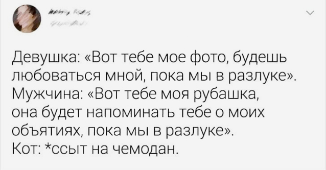Котомемы