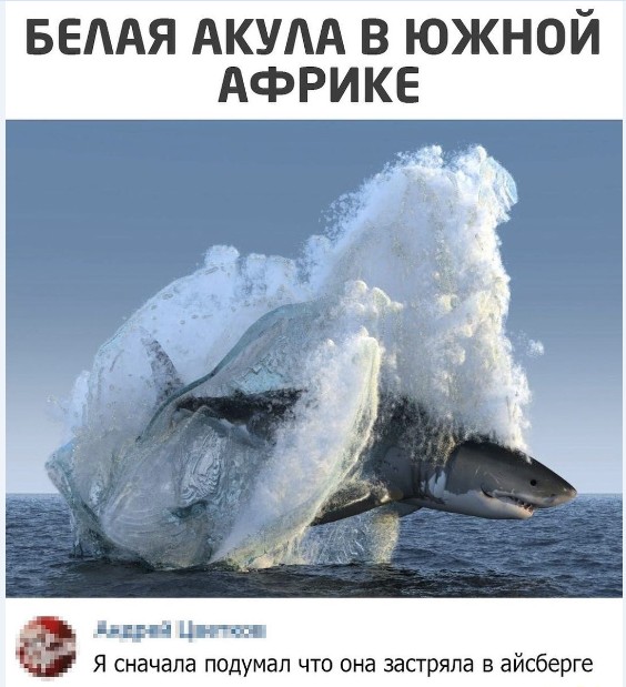Картинки и мемы для настроения