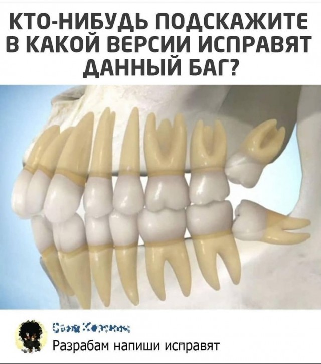 Очередной весёлый полтишок