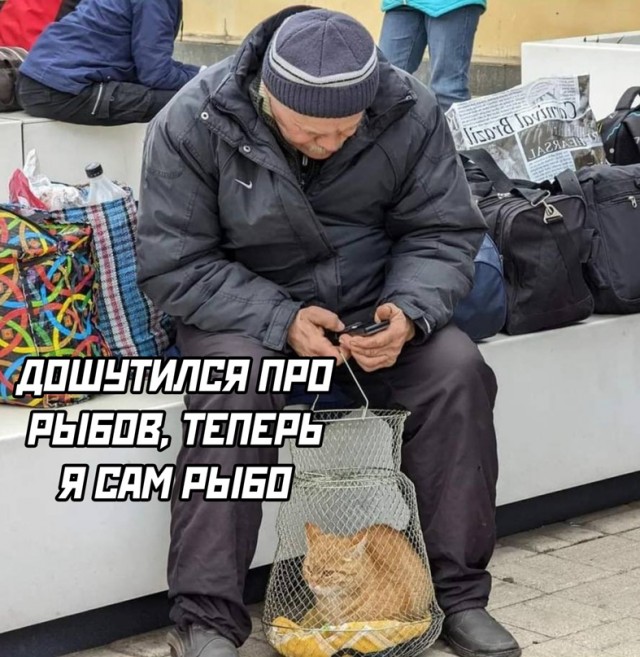 Весёлый полтишок 14.04.22