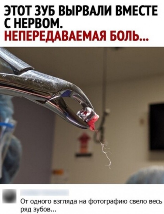 Так себе картинки 17.04.22