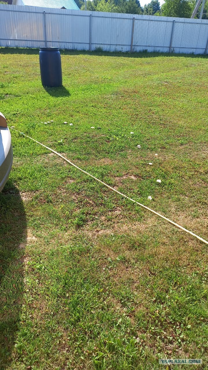 Купить Сад Любитель 2