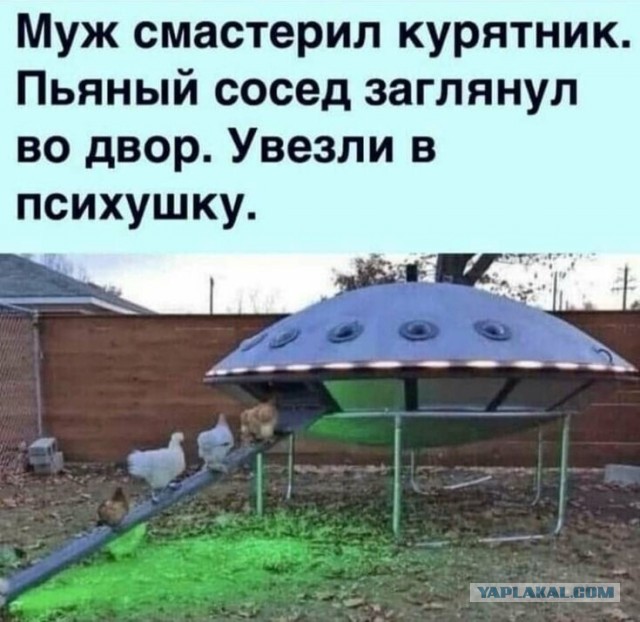 50 оттенков серого или самосвал баянов. Vol. 18. 50 штук.