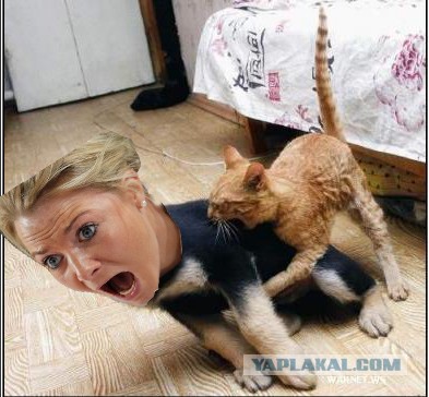 Фотожаба: Девчачьи эмоции