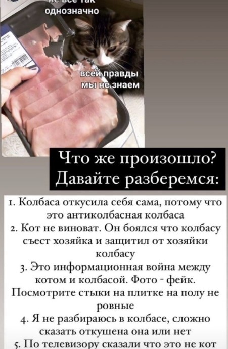 Кот с колбасой мем