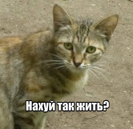 Так Нахуй