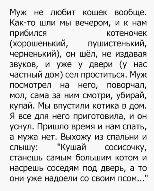 Весёлый полтишок 10.06.24