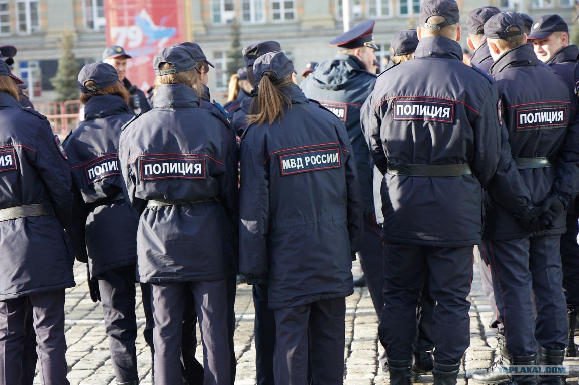 Как устраиваются в полицию