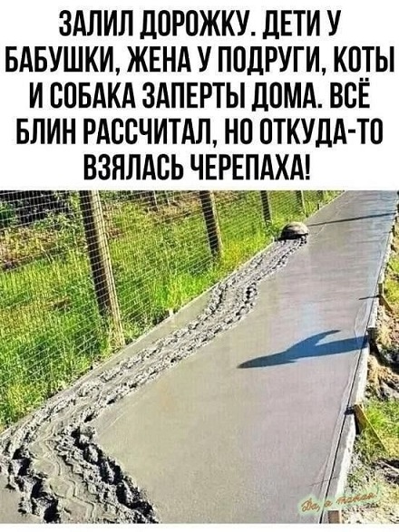 19923434.jpg