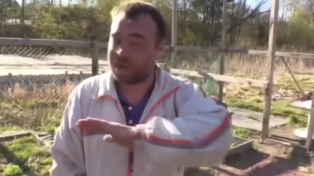 Льва, который напал на директора «Тайгана», не будут усыплять