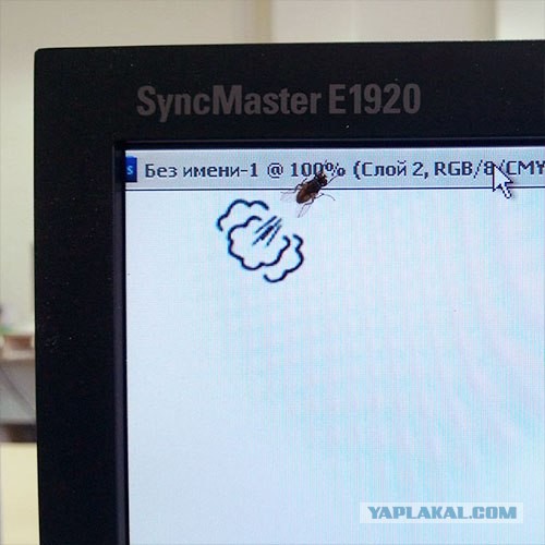 Сегодня на работе, ко мне прилетала муха.