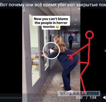 Вот почему они всё время убегают в закрытые помещения или на крышу?