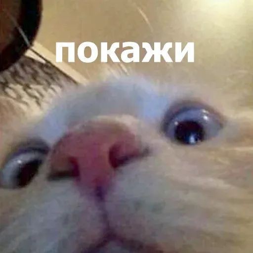 Детская травма порноактрисы