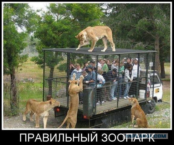 Дагестанцы избивают полицейского