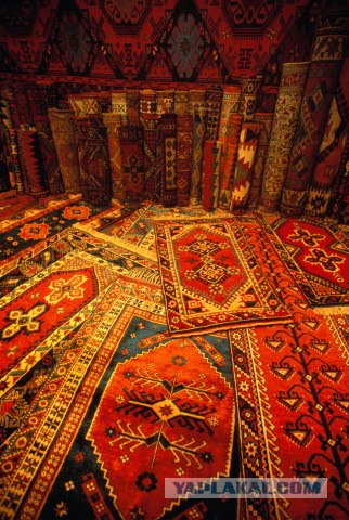 Ковры в соц-сетях