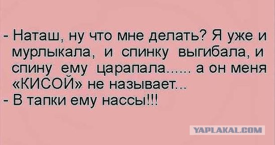 Лента анекдотов на вторник 14.04.2015