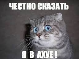Домашний телефон спас женщину от мужа-алкаша