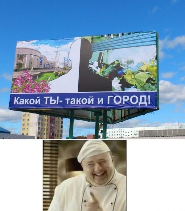 Свиньи на стадионе