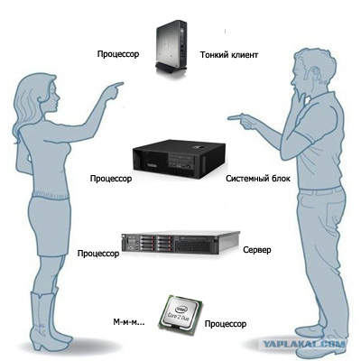 Как выбирают ....