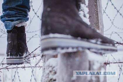 Северный плейнспоттинг