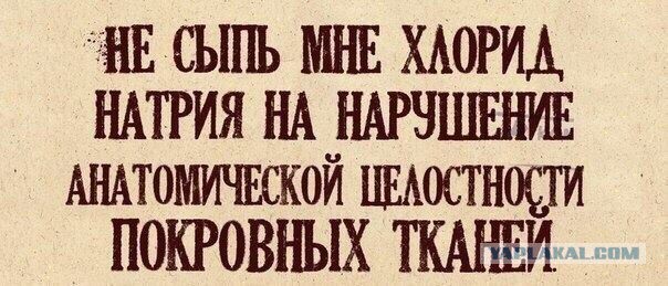 Веселые картинки