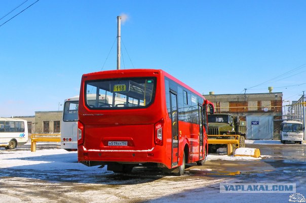 «Пазик» нового поколения: есть фото «живых» автобусов