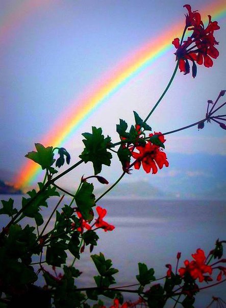 Интересные и веселые картинки