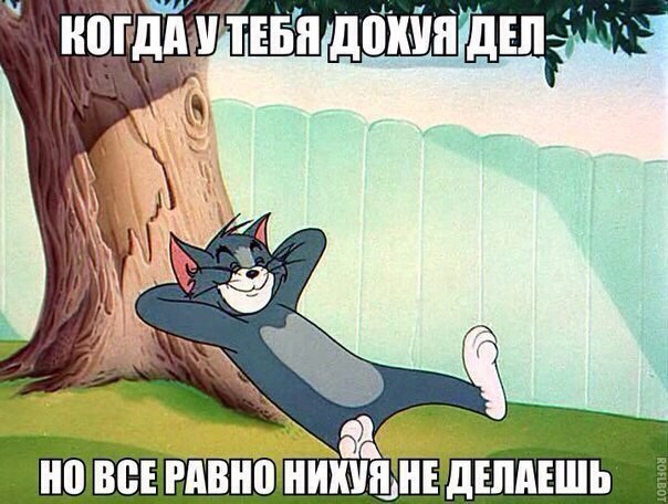 Небольшой микс картинок и гифок
