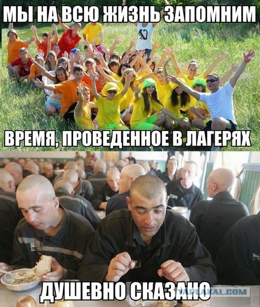 Смешные картинки из сети