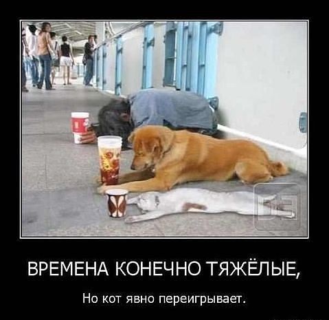 Почему же мы так унизительно бедны и становимся еще беднее?