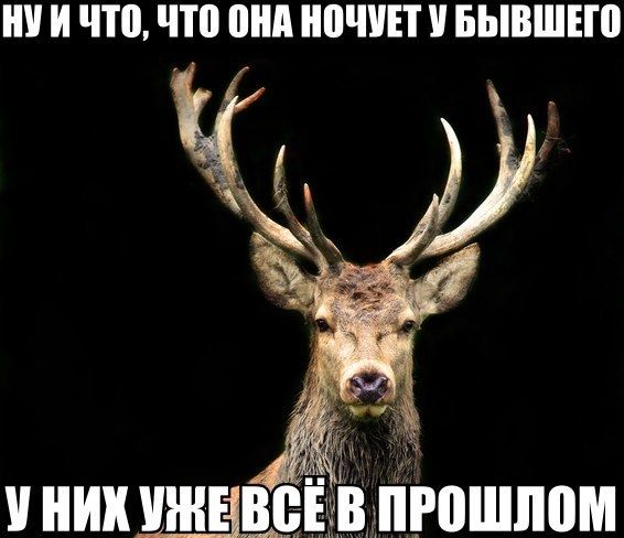 Бедолага - капитан.