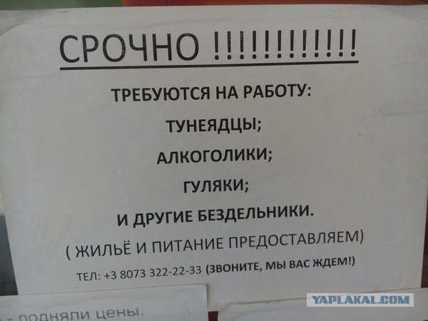 Марш Тунеядцев. Что дальше? Программа тунеядцев
