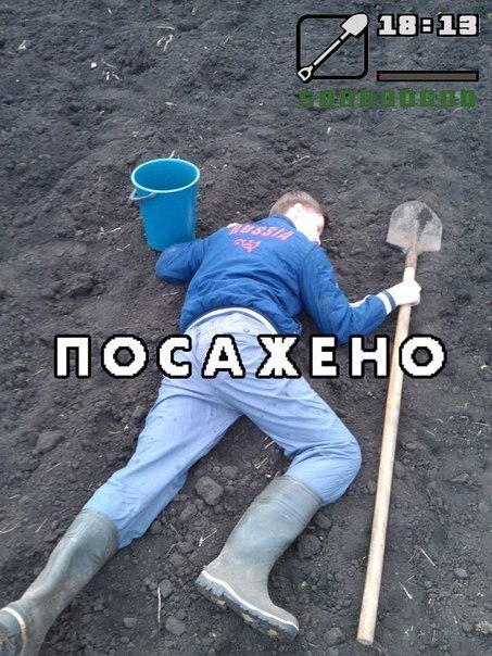 Смешные картинки
