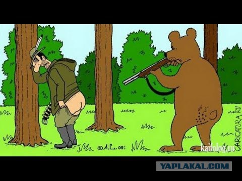 В Алма-Ате мужчина кинул камень в голову медведю, чтобы развлечь внуков