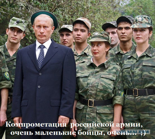 Подборка интересных и веселых картинок