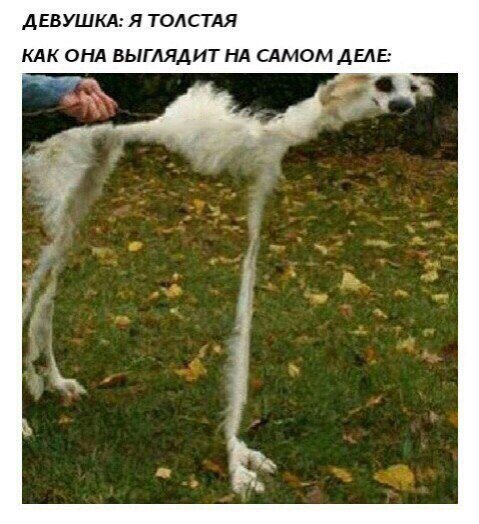 Приколы в стиле "регресс"