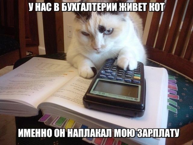 Подборка интересных и веселых картинок