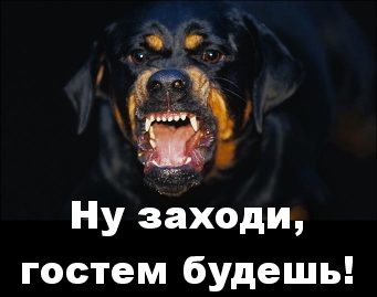 Купил новую дверь с модными замками? Вскроем за 1 минуту!