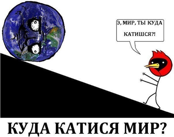 Бобрик с ирокезом рвётся в моду!