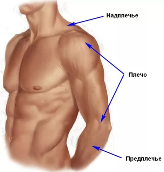 Потрогал грудь – 8 лет строгача